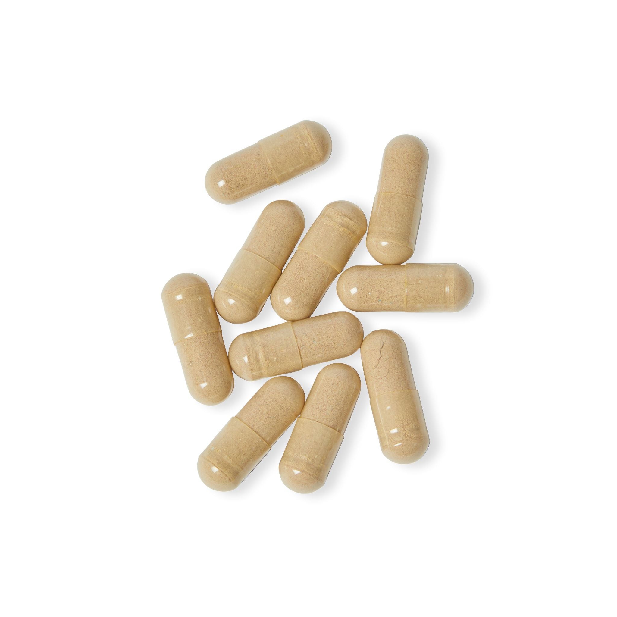 Base Camp Bloom Multivitamin for Women Supplement (60 Capsules)