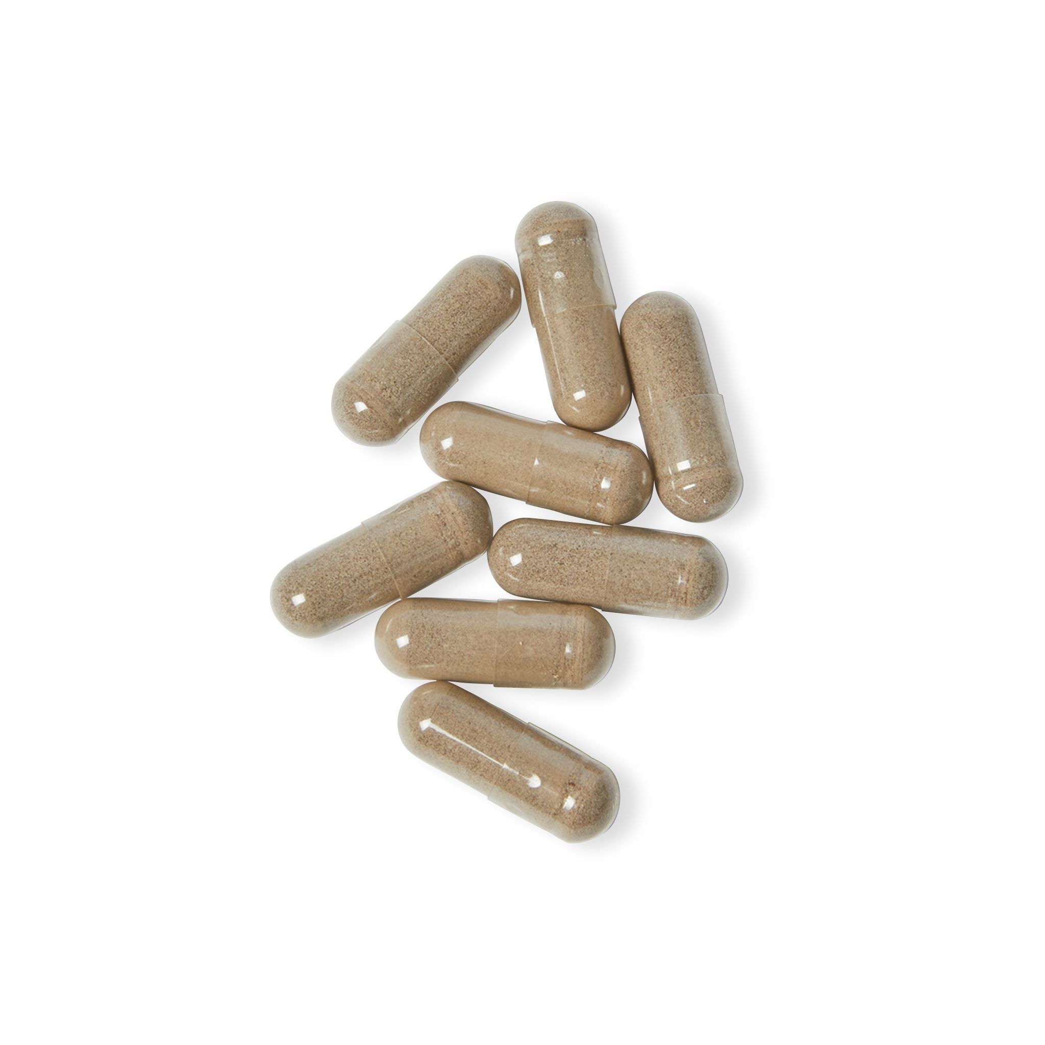 Base Camp Vital Sea Moss Supplement (60 Capsules)
