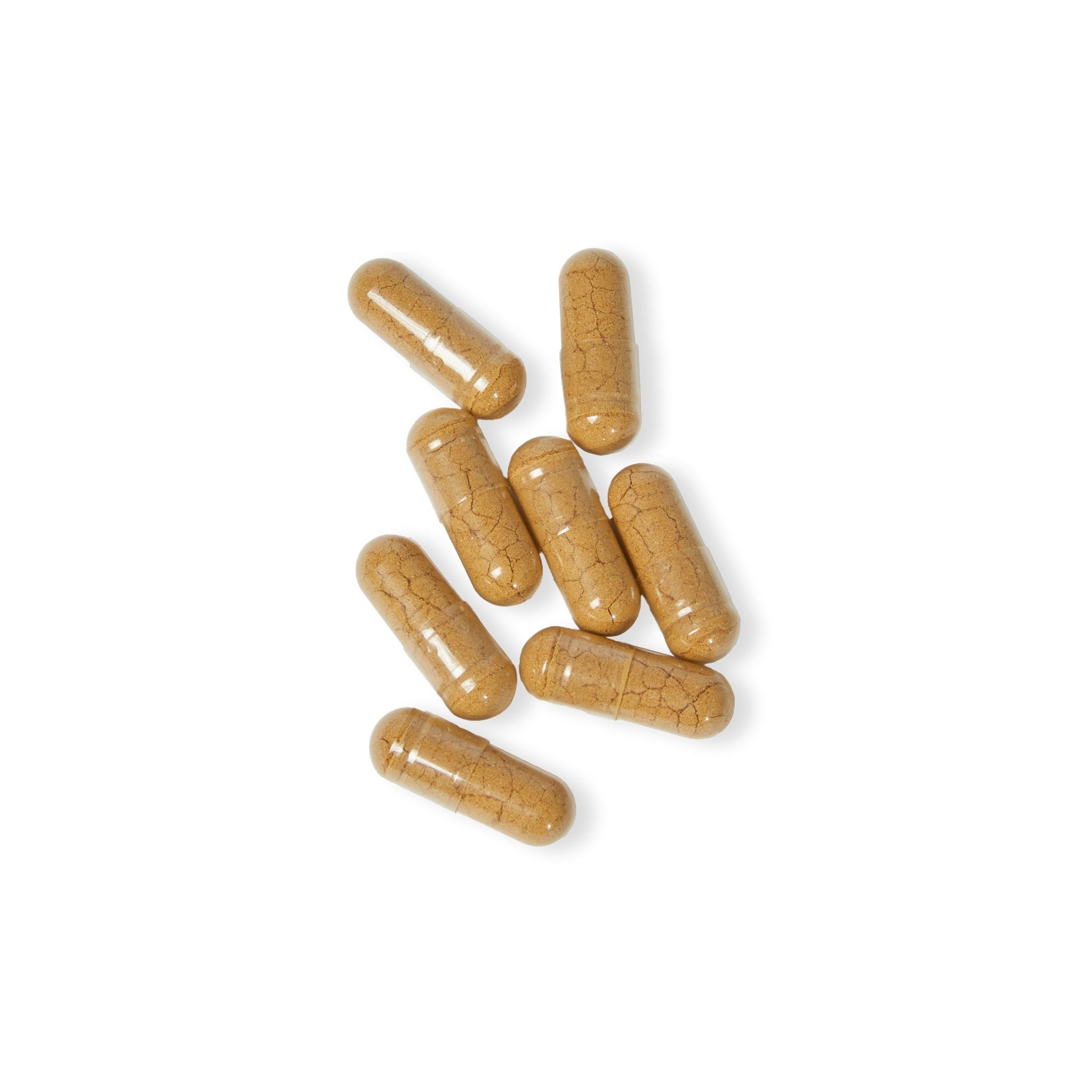 Base Camp Vital Mushroom Blend Supplement (60 Capsules)