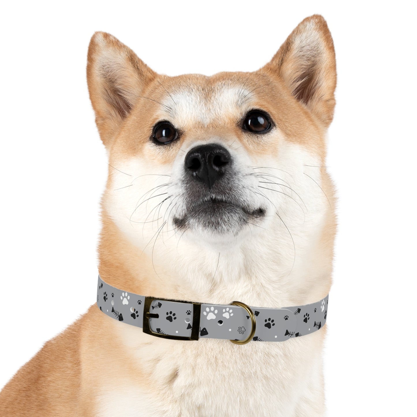 Grey Paw Print Dog Collar — Cute Bone & Paw Design, Durable Adjustable Pet Collar