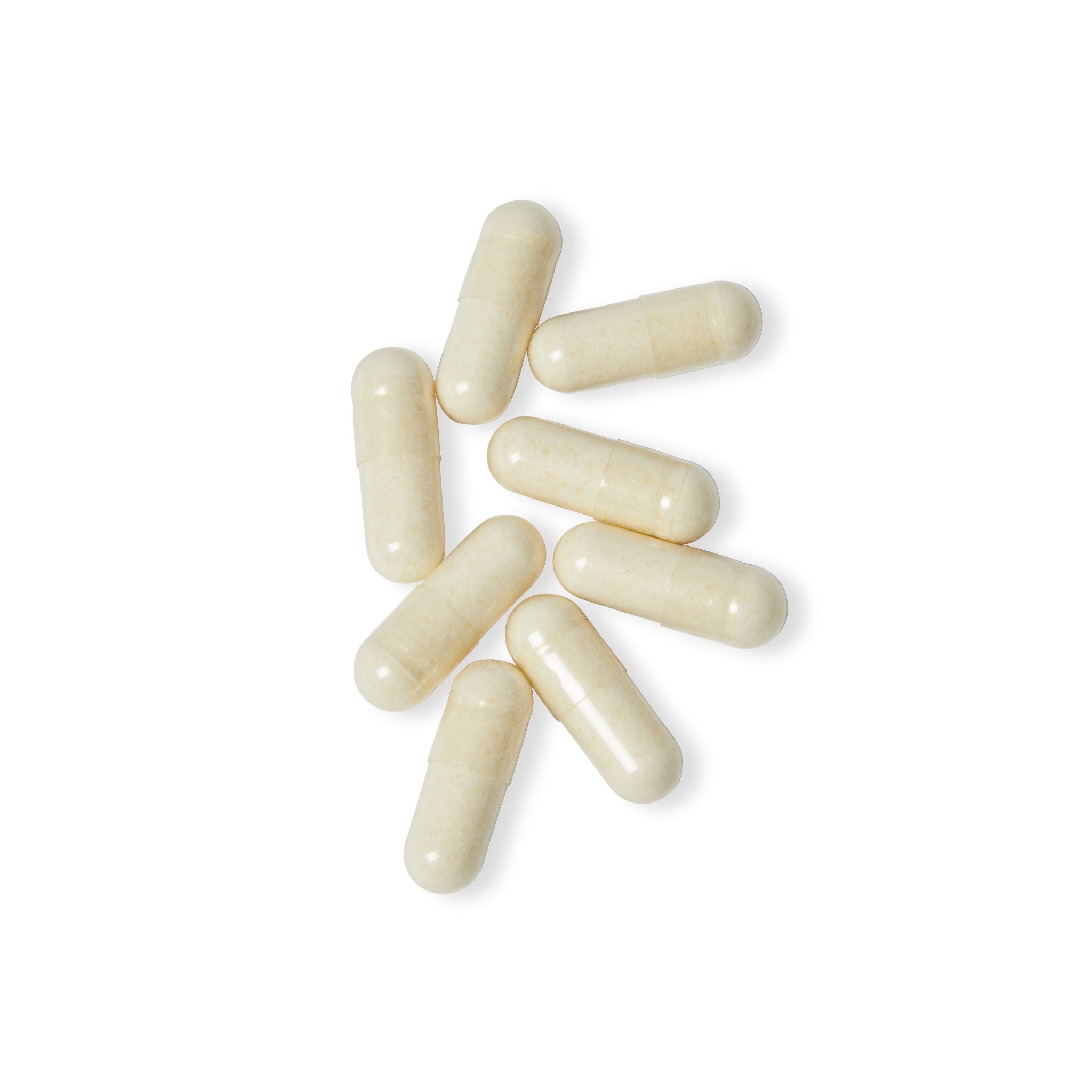 Base Camp Vital Probiotics Supplement (60 Capsules)