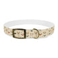 Cute Cartoon Dogs Dog Collar — Beige Puppy Pattern Adjustable Collar