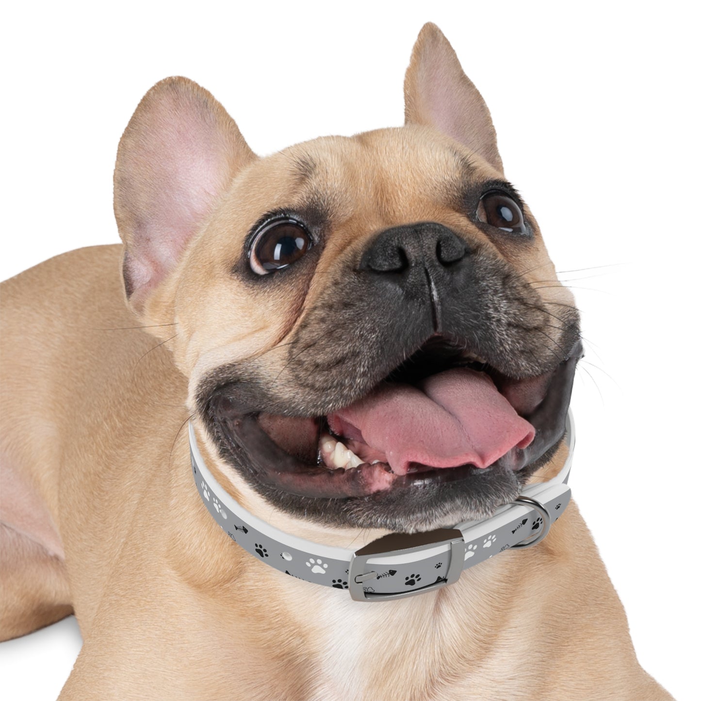 Grey Paw Print Dog Collar — Cute Bone & Paw Design, Durable Adjustable Pet Collar