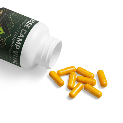 Base Camp Vital Turmeric + BioPerine – Recovery & Antioxidant Support | Supports the USO BioPerine® (Black Pepper Fruit Extract) Supplement (60 Capsules) (free shipping)