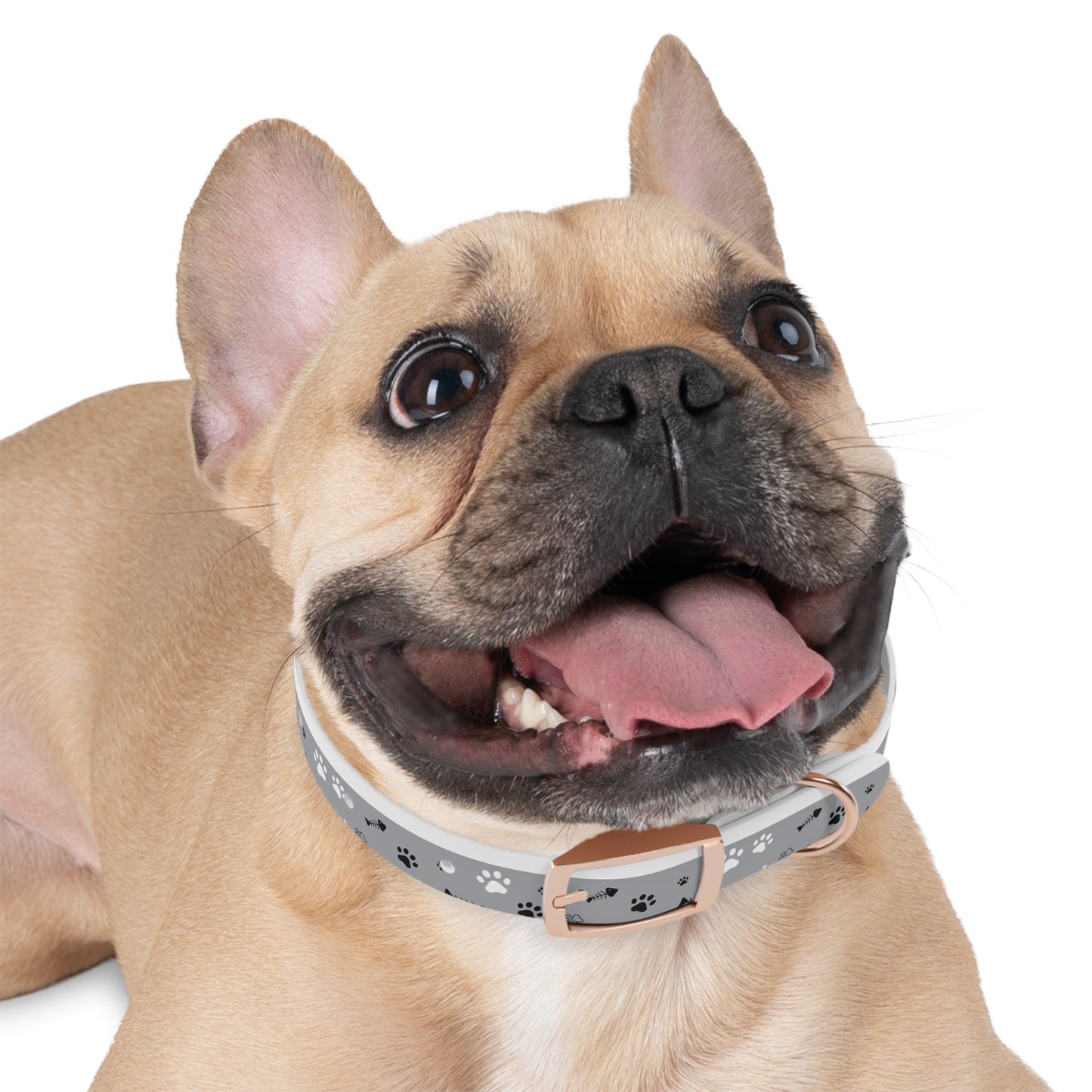 Grey Paw Print Dog Collar — Cute Bone & Paw Design, Durable Adjustable Pet Collar