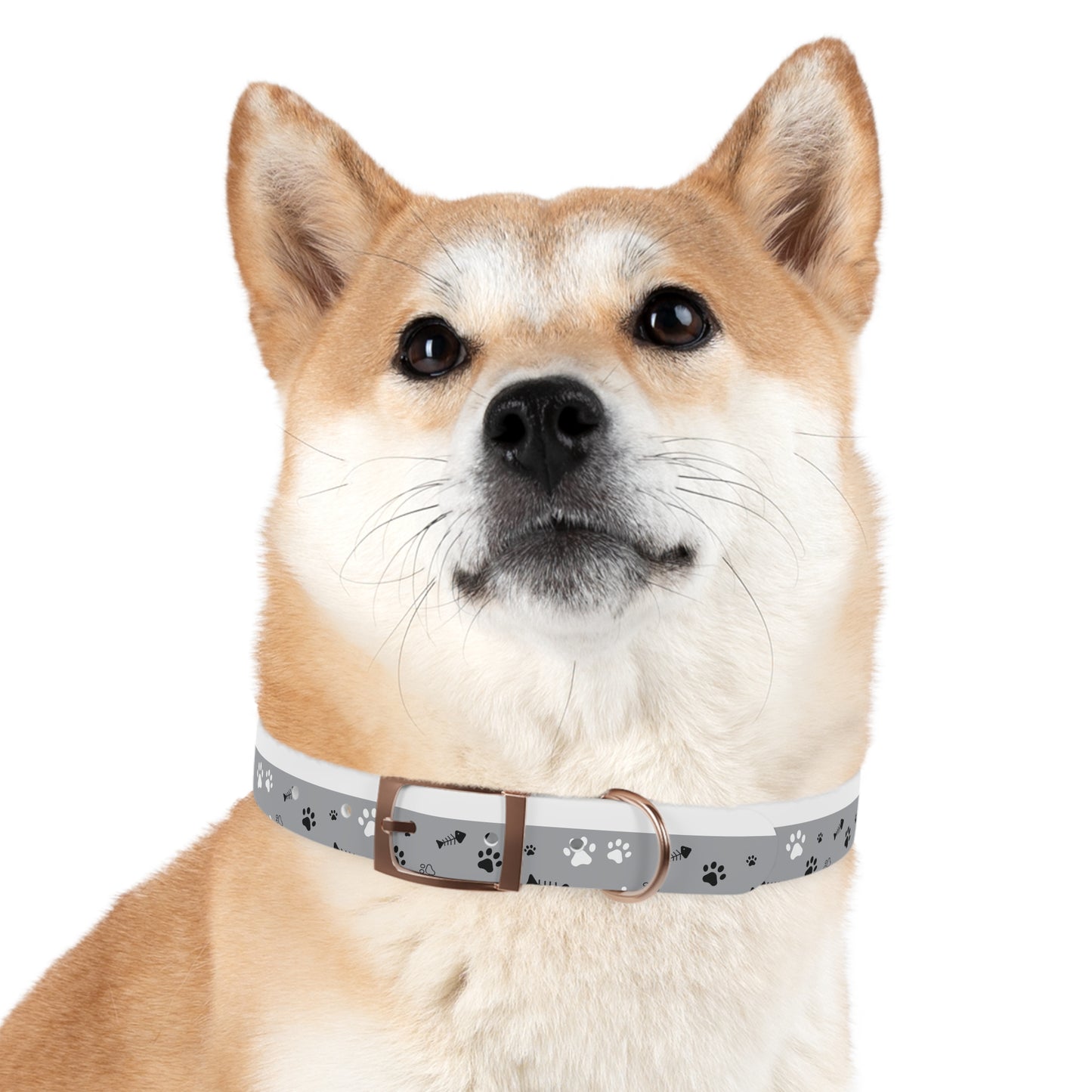 Grey Paw Print Dog Collar — Cute Bone & Paw Design, Durable Adjustable Pet Collar