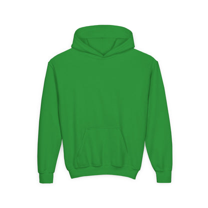 Girls Youth Hoodie- multiple colors