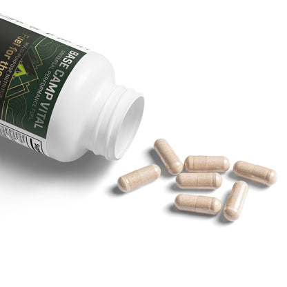 Base Camp Vital Brain Support Complex – Focus, Memory & Mental Clarity | Supports the USO (60 Capsules) (free shipping)