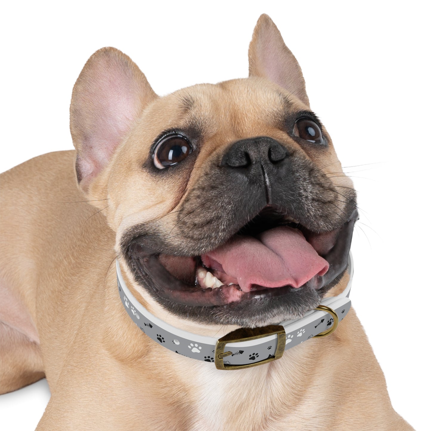 Grey Paw Print Dog Collar — Cute Bone & Paw Design, Durable Adjustable Pet Collar