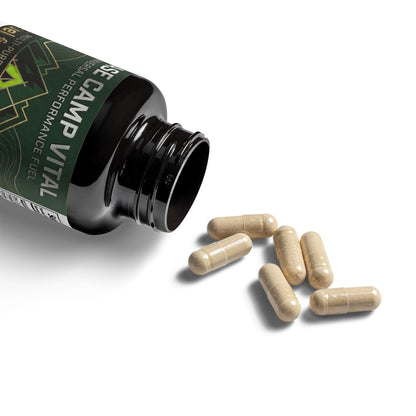 Base Camp Vital Magnesium & Zinc Supplement – Performance, Recovery & Muscle Support (free shipping)