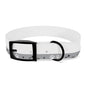 Grey Paw Print Dog Collar — Cute Bone & Paw Design, Durable Adjustable Pet Collar