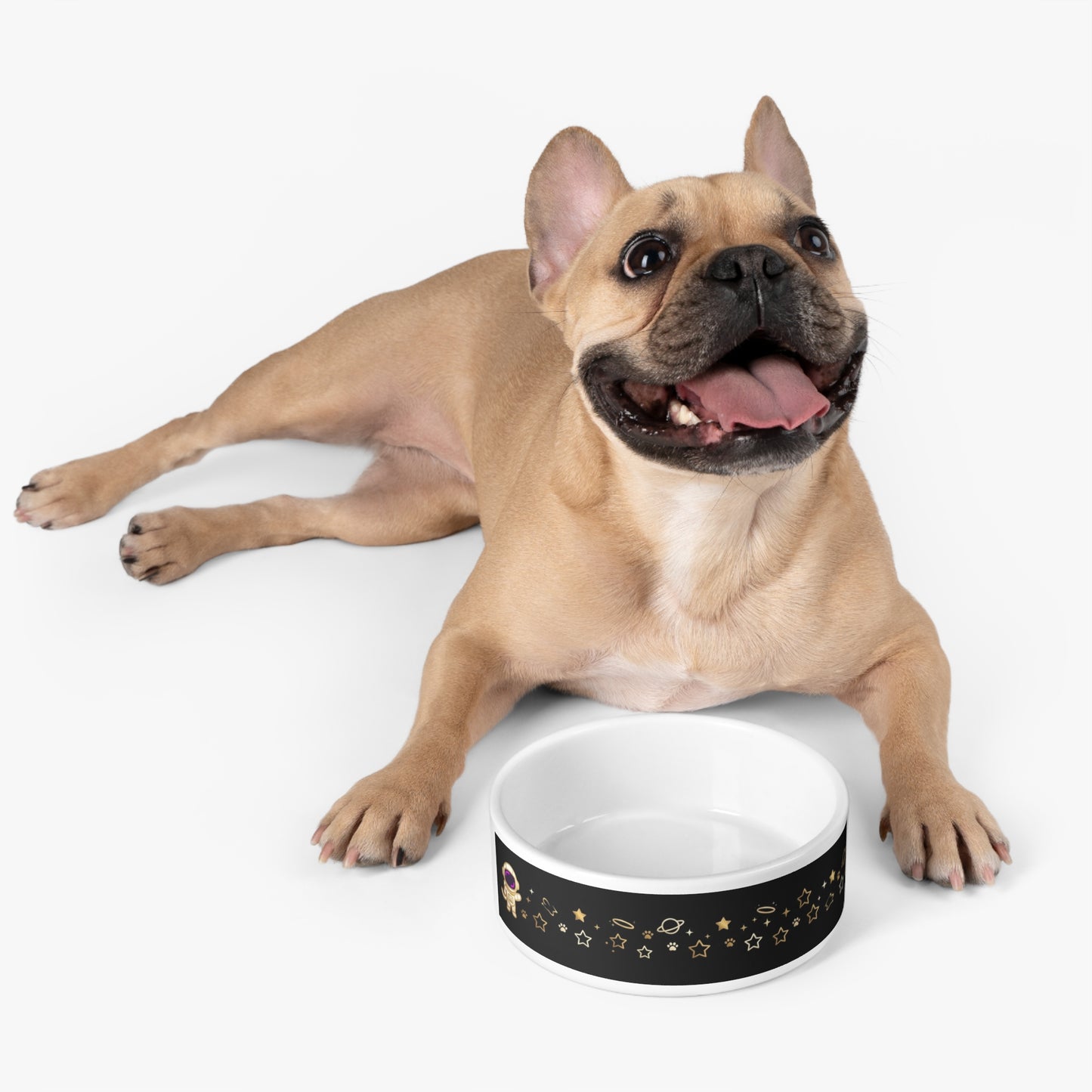Astronaut ceramic Pet Bowl — Space Stars Ceramic Dog & Cat Dish