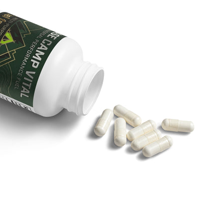 Base Camp Vital Magnesium Glycinate – 60 Capsules for Performance, Supports the USO (60 Capsules) (free shipping)