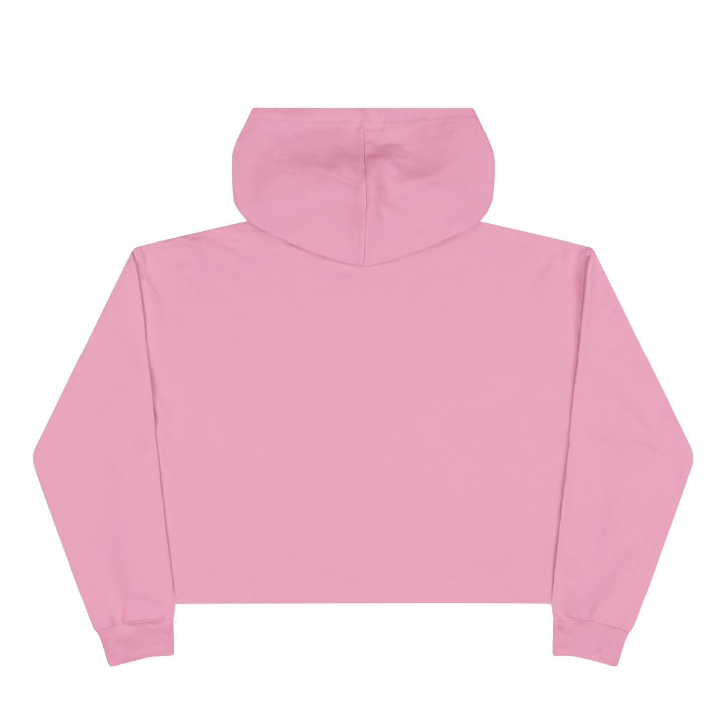 Cropped Hoodie — “You Had Me at I Hate That Bitch Too” Graphic