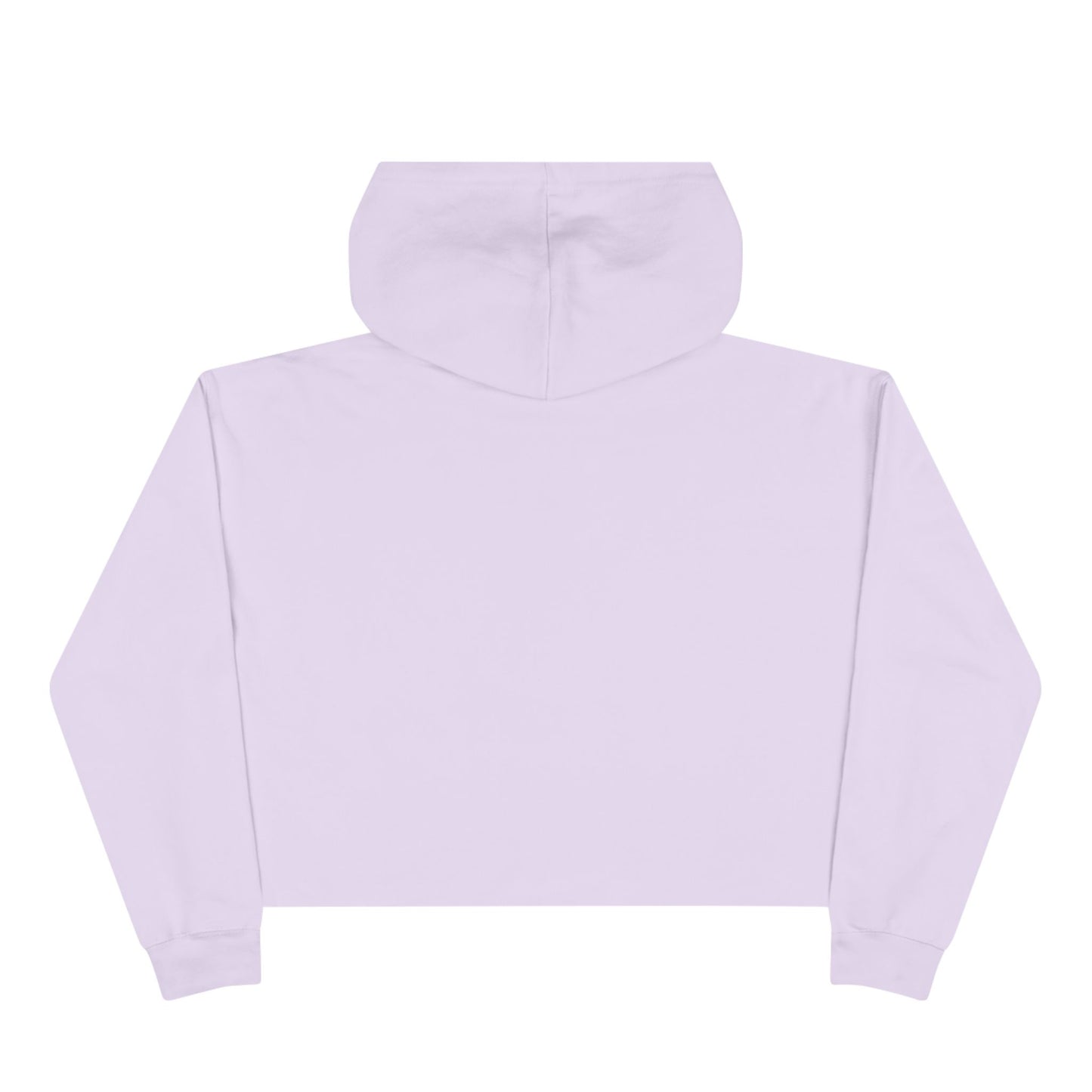 Cropped Hoodie — “You Had Me at I Hate That Bitch Too” Graphic