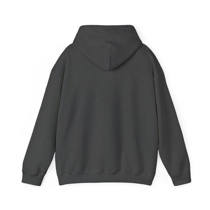 Mountain Moonline Hoodie — base camp vital gear- Minimal Crescent & Peaks Graphic Sweatshirt