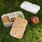 4th July celebration Bento Lunch Box with Colorful Design