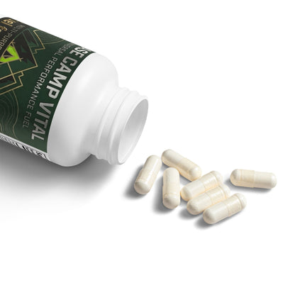 Base Camp Vital Probiotics Supplement (60 Capsules) ( free shipping)