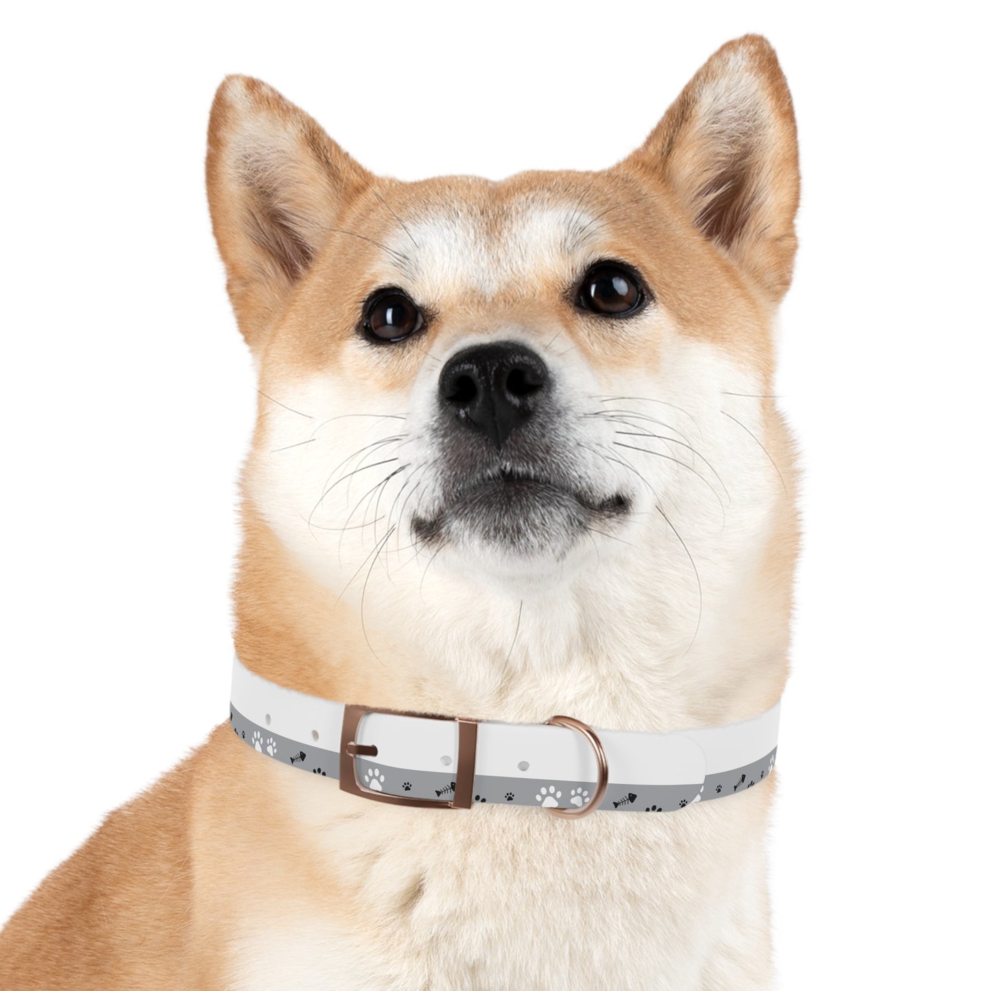 Grey Paw Print Dog Collar — Cute Bone & Paw Design, Durable Adjustable Pet Collar