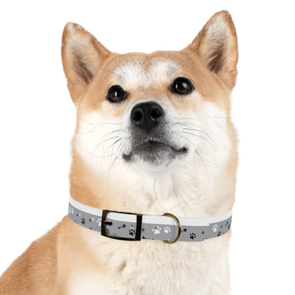 Grey Paw Print Dog Collar — Cute Bone & Paw Design, Durable Adjustable Pet Collar
