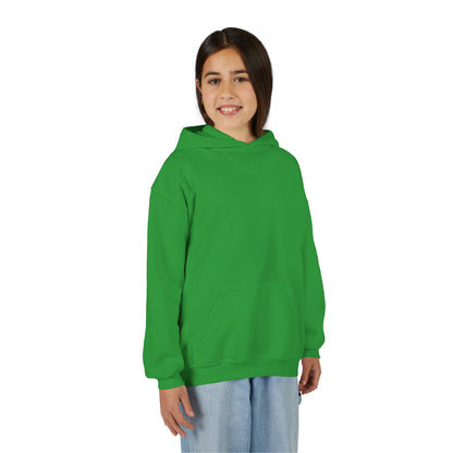 Girls Youth Hoodie- multiple colors