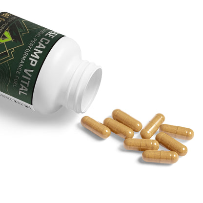 Base Camp Vital Mushroom Blend Supplement – 60 Capsules for Brain & Energy Support (free shipping)