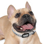 Grey Paw Print Dog Collar — Cute Bone & Paw Design, Durable Adjustable Pet Collar